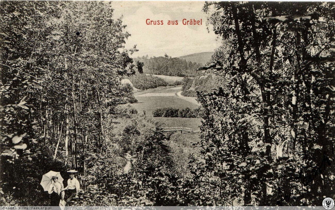 Przyroda grobelska na starej poczt&oacute;wce